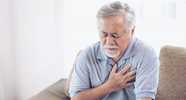 <p>Our hearts work nonstop to circulate blood throughout our bodies, ensuring that our organs receive the oxygen and nutrition they require to function properly.&nbsp;</p>
