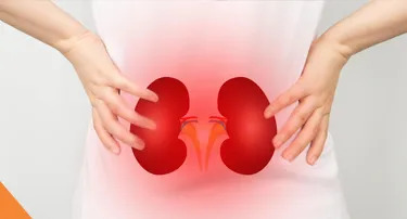 Her Health Alert: Understanding Kidney Disease Symptoms in Females