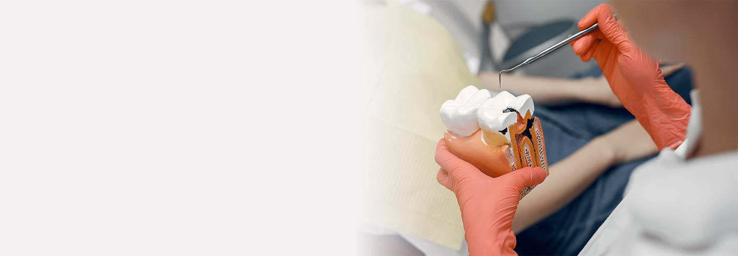 Conservative Dentistry and Endodontics